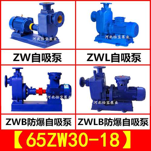 ZW65-30-18工业污水自吸泵不阻塞排污泵2.5寸卧式自吸离心泵