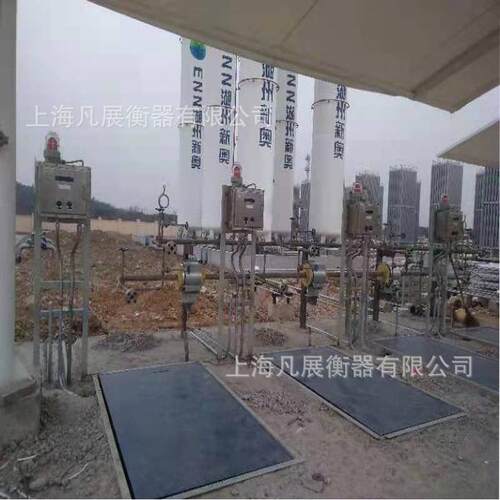 【工业本安型】防爆系列电子秤/电子地磅称重1吨2吨3吨选配开关量