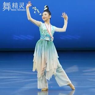 古典舞演出服汉唐舞剧目表演折枝盼舞蹈服大摆裙练功玉簟秋艺考服