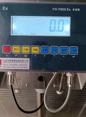 常州本安防爆电子台秤150KG200公斤落地电子不锈钢台秤4~20MA输出