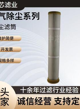 中芯滤业工业除尘 PTFE覆膜 空气净化滤筒 防静电防水165X140X850