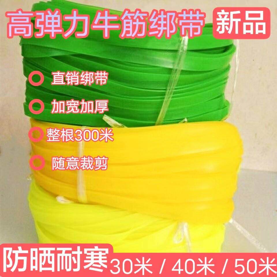 篷布高弹力摩托车捆绑绳皮筋牛筋绑带弹力绳货带行李弹力绳松紧绳