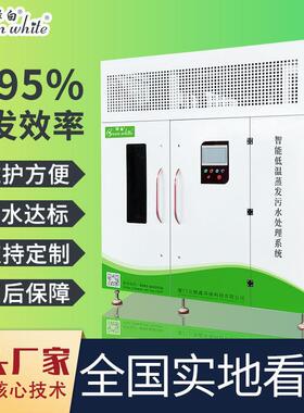 绿白废水蒸发器高浓度工业污水低温蒸发设备日处理300L至30吨