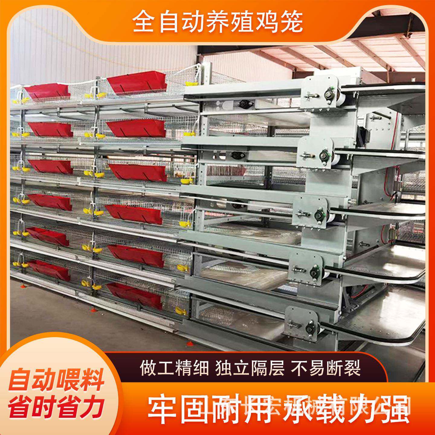 全自动立式肉鸡鸽子笼鹌鹑养殖场自动喂料肉鸡笼养殖育雏笼蛋鸡笼