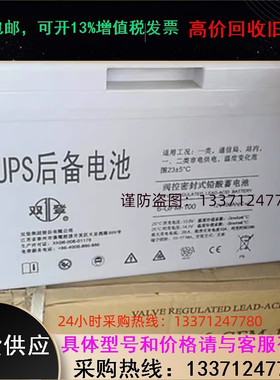 双登蓄电池12V38AH双登电池6-GFM-38免维护铅酸蓄电池商