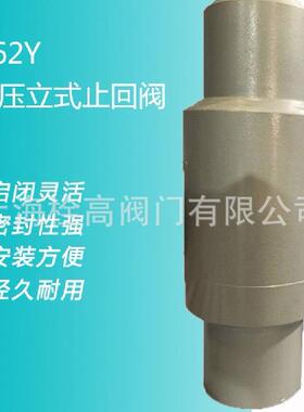H62Y-25不锈钢焊接高压立式止回阀焊接高压不锈钢立式止回阀门