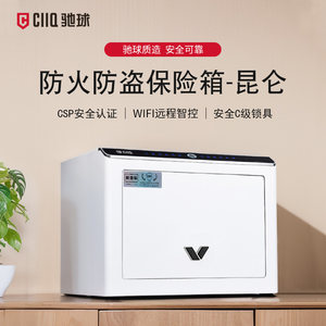 驰球小型保险柜家用2024新款防盗衣柜嵌入式加厚全钢板材一体防火