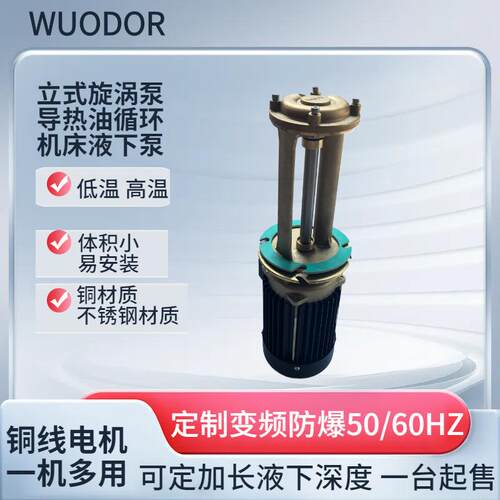 供应0.5kw机床液下泵WL-20-200旋涡泵橡胶射出机配套冷却液循环泵