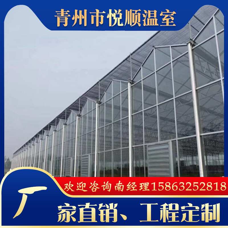 温室大棚大棚农业智能温室智能温室大棚建造玻璃连体农业种植大棚