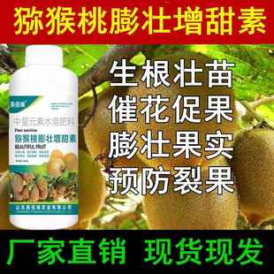 猕猴桃授粉药专用肥料膨大剂增甜剂保花保果防落果坐果灵 叶面肥