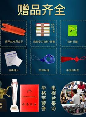 正品南毕格宝葫芦云丝器c调降bdgf调竹紫学生成人初学专业演奏型7