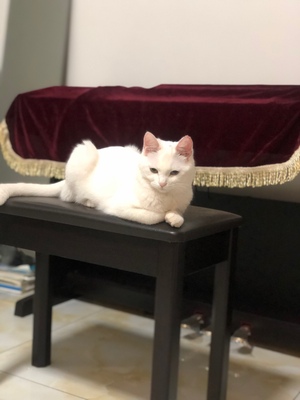 雅马哈电钢琴ydp143b究竟质量怎么样？要将近六千值这个价吗？