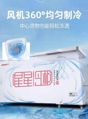 星星冷柜400/500升商用大容量全冷冻柜卧式单温雪柜节能冰柜