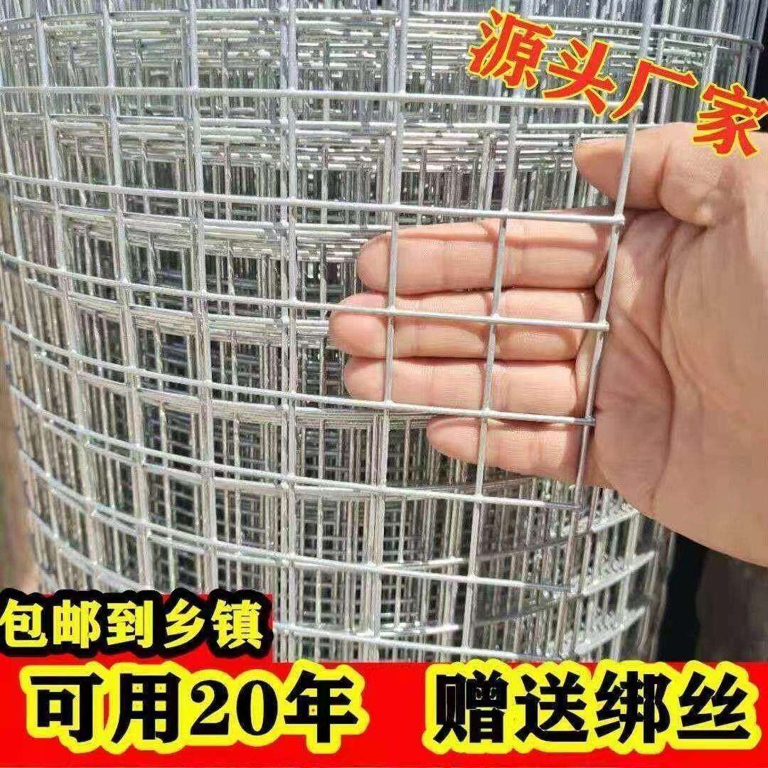 热镀锌铁丝网围栏网养殖网钢丝网拦鸡网建筑网防护网铁网格玉米网