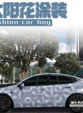 适用于特斯拉焕新modelY 极氪001全车膜灰色太阳花彩绘膜个性定制