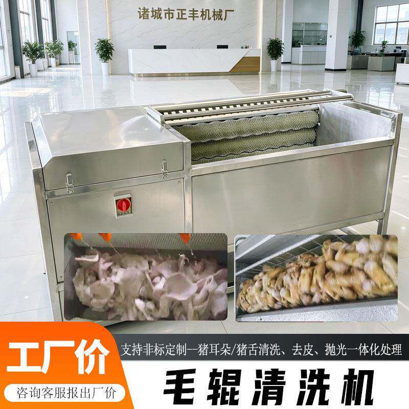 猪头蹄黄香去渣烧毛抛光机屠宰场肉类预处理设备全自动毛刷清洗机