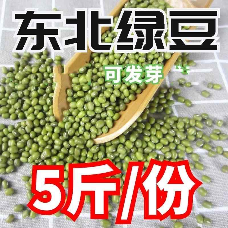 新粮新鲜绿豆农家自产发豆芽明绿豆沙糕发煮汤散装包邮5斤