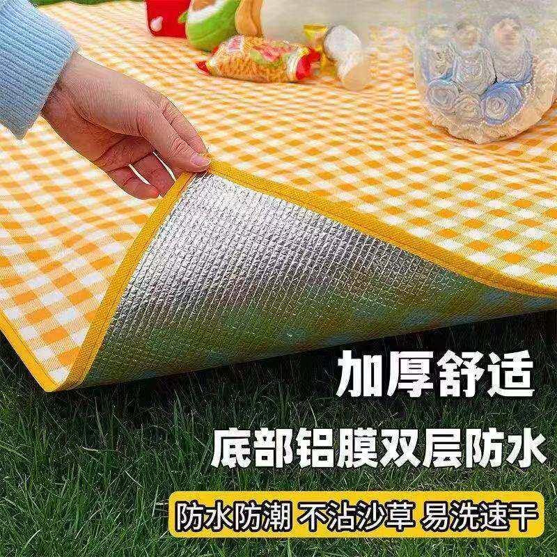 户外露营垫野餐垫防潮垫加厚防水便携超大小尺寸草坪野炊春游地垫