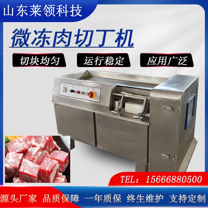 不锈钢350型切丁机商用鲜牛肉冻肉切肉丁机大型三维冻肉切丁机