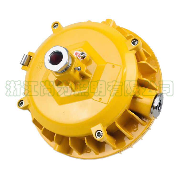 SW7151LED泛光灯 大功率LED泛光灯 SZSW7151节能泛光灯