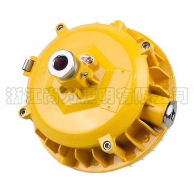 SW7151LED泛光灯 大功率LED泛光灯 SZSW7151节能泛光灯