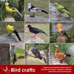 模拟鸟类模型湿地展览馆学校教具定制杜鹃花黑色枕头黄西家燕子遗