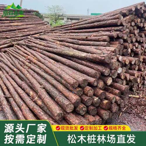 松木桩杉木防洪河道水力工程打桩护堤加固公路防护2-8米削尖