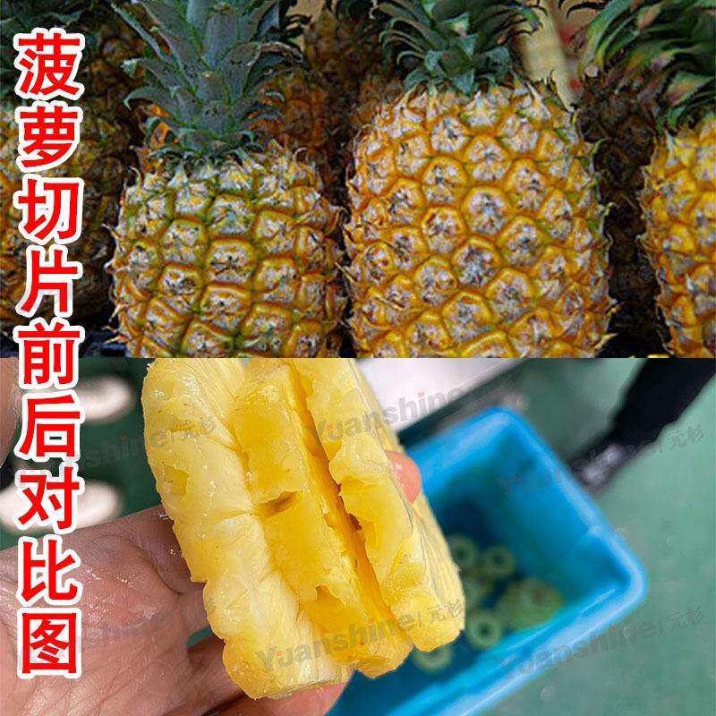 全自动水果切片机柠檬萝卜快速切片机橙子木瓜电动切片机