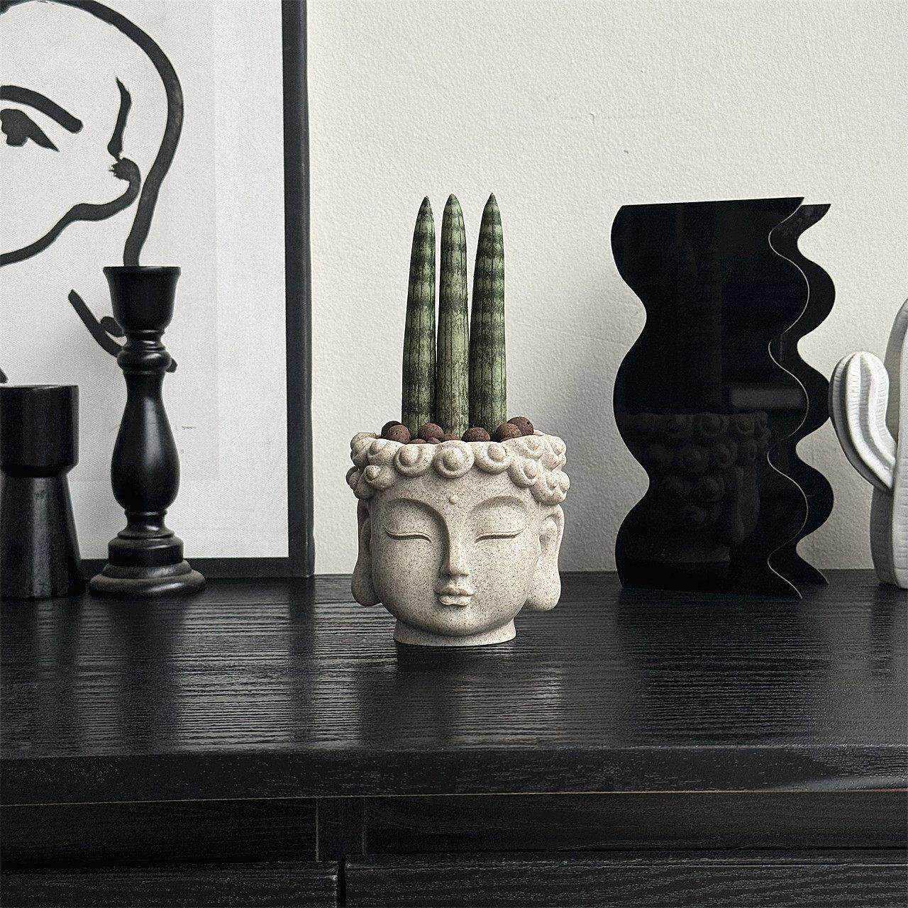 佛前香多肉植物棒叶虎皮兰趣味新中式无刺送礼好养桌面办公室盆栽