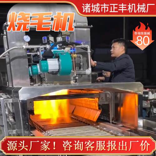 液化气猪猪蹄烧CAS毛机 用连续式肘猪脸商燎毛机 青椒毛燎皮机 烧