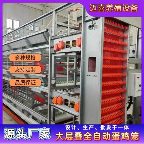 大层叠式蛋鸡笼全自动鸡笼养鸡场专业养殖自动化养鸡自动喂料
