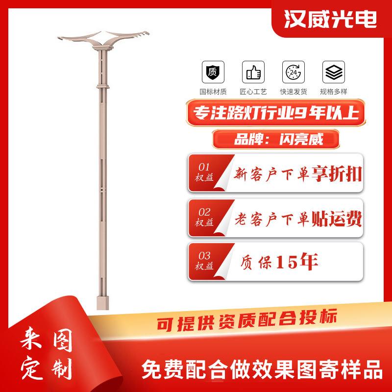 LED市电路灯杆双臂智慧路灯城市主杆道乡村路灯市政工程亮化改造