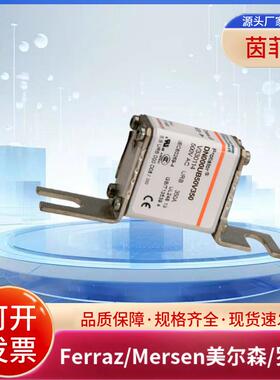 6.6URB000BS88P/075 H330126 6,9URB000BS88P/080 J330127熔断器