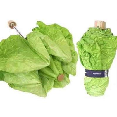 独特生菜雨伞 遇水生财 雨天里的亮点 时尚个性有趣实用与众不同