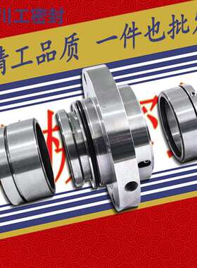 Mechanical seal SE2-AP-80-QREQ-305169 散件机械密封