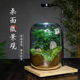 生命之树生态瓶苔藓创意微景观，桌面盆栽青苔造景缸植物办公室绿植