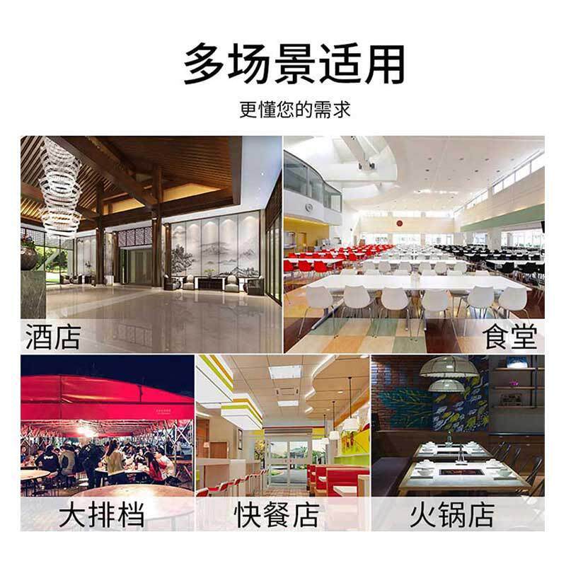 风式895冰柜冷冻柜格林斯商业冷用大型保鲜展达示工作立台