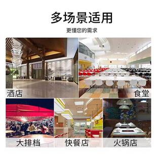 895冰柜冷冻柜格林斯商业冷用大型保鲜展达示工作立台 风式