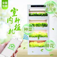 绿阳庭室内空气净化加湿器水耕无土栽培种植设备智能种菜养花机