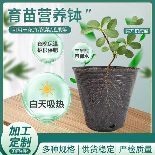 营养钵020料育苗盆黑色育苗杯育塑苗钵加厚育花卉苗袋家厂供应