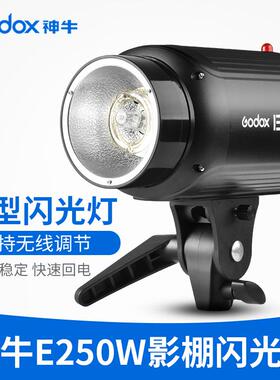 GODOX神牛E250W影室闪光灯摄影棚设备摄影灯光柔光灯照相灯拍照灯