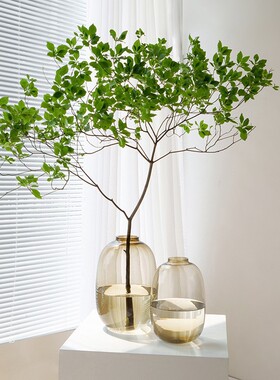 中式花瓶ins风高颜值客厅玄关摆件软装水培植物器皿玻璃花瓶