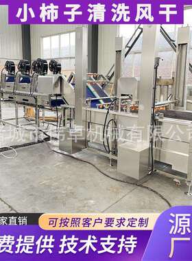 全自动水果气浪式清洗机红薯气泡清洗机柠檬气泡清洗机械设备