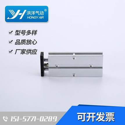 TN双轴气缸TN25*10*20*30*40*50*60*70*80*100-S静音精准