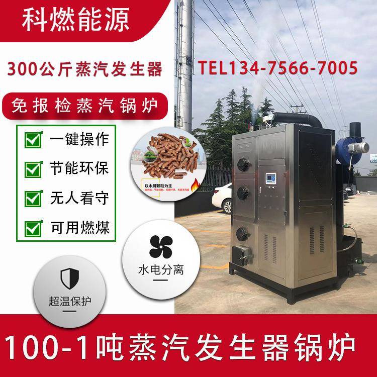 全自动烧颗粒蒸汽锅炉蒸鸡蛋汽发生器生产咸鸭蛋锅炉高温