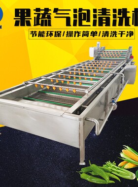 气泡清洗机大姜菠菜高压喷淋清洗设备摆摊小龙虾清洗机果蔬清洗机