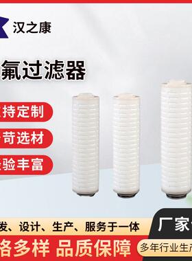 供应电子级微孔全氟过滤器纯化PFA全氟滤壳过滤设备滤芯厂家