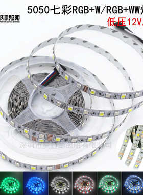 LED5050RGBW灯带 5050软灯条七彩加白光高亮12V/24V灯带RGBWW暖白