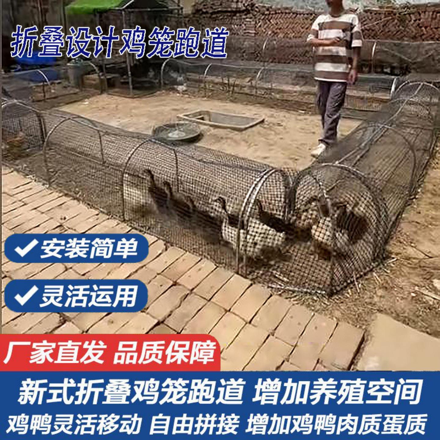 跑道鸡笼塑料网牛津网管道走地养鸡笼子溜达养殖笼折叠走地鸭笼
