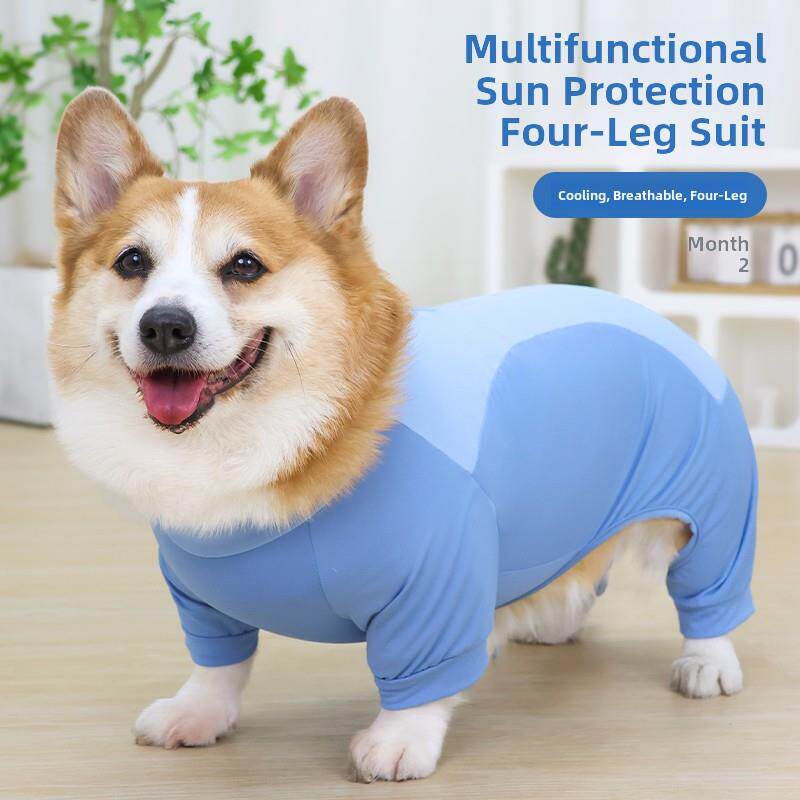 宠物狗服装,防晒,防污,防虫四足服装,柯基泰迪,小型犬,中型